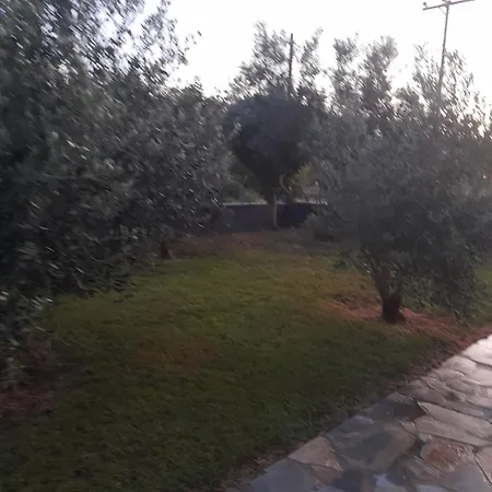 Дом отдыха Meteora View